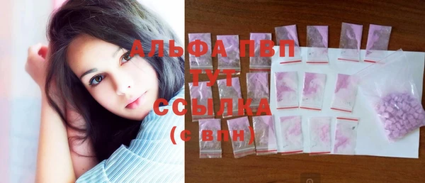 твердый Щигры