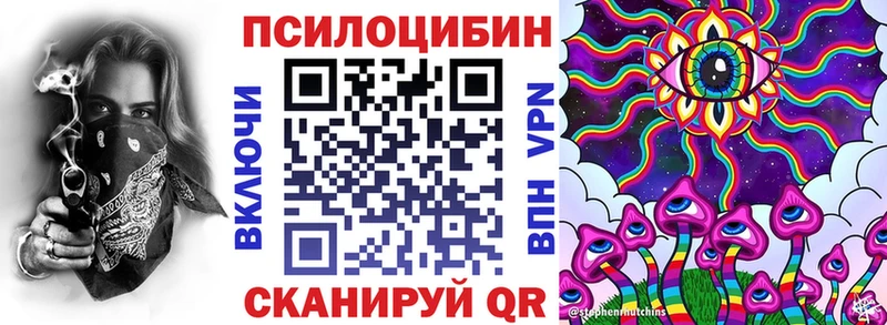 Купить где  Ульяновск  Псилоцибиновые грибы GOLDEN TEACHER 